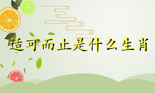 适可而止是什么生肖 适可而止的成语是什么意思