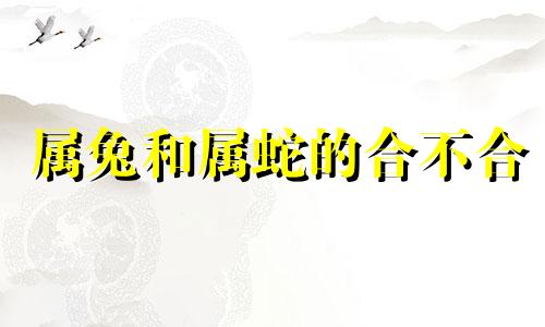 属兔和属蛇的合不合 共同勉励 互相帮助