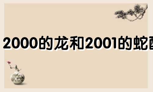 2000的龙和2001的蛇配吗 2000年属龙的和2001年属蛇的