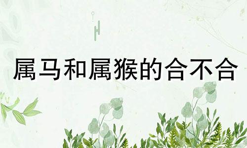 属马和属猴的合不合 属马和属狗的做生意合不合