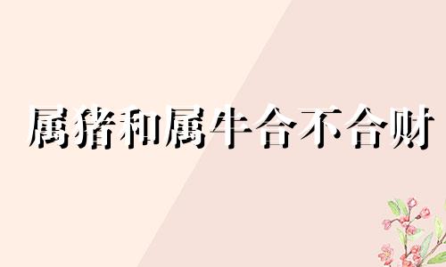 属猪和属牛合不合财 属猪和属牛合不合适