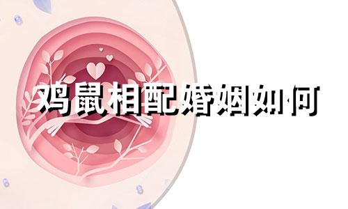 鸡鼠相配婚姻如何 鸡配鼠的婚姻如何