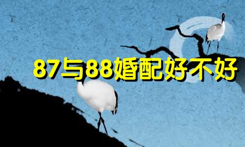 87与88婚配好不好 87和88年结婚好吗