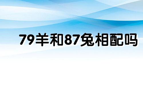 79羊和87兔相配吗 79属羊与87属兔