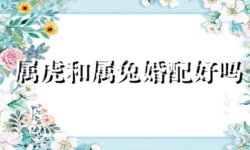 属虎和属兔婚配好吗 属虎和属兔的婚姻怎么样 合吗