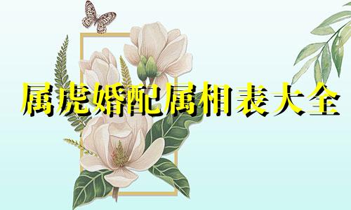 属虎婚配属相表大全 属虎婚配属相最好