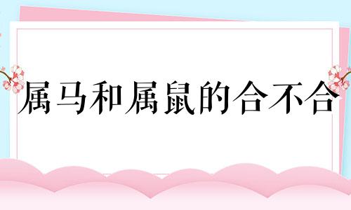 属马和属鼠的合不合 属马和属狗的合不合