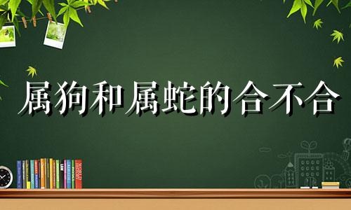 属狗和属蛇的合不合 属狗和属鸡的合不合