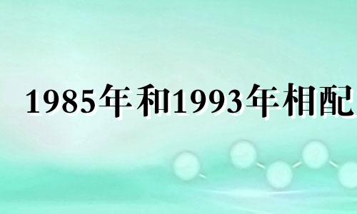 1985年和1993年相配吗 好不好