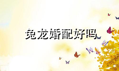 兔龙婚配好吗 兔合龙结婚好吗