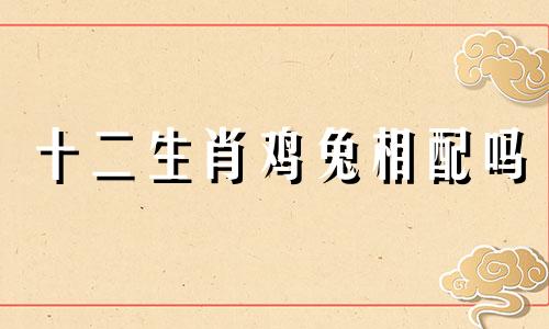 十二生肖鸡兔相配吗 生肖鸡兔合不合