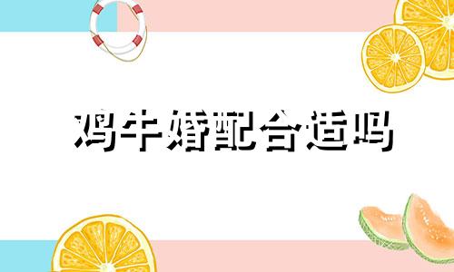 鸡牛婚配合适吗 鸡牛相合吗