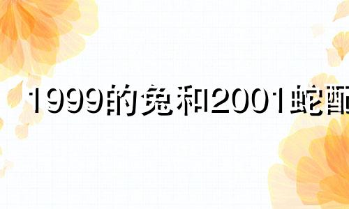 1999的兔和2001蛇配吗 1999年兔和2001年蛇八字合吗