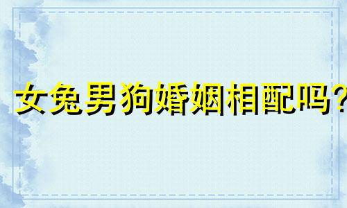 女兔男狗婚姻相配吗? 属兔人一生最克3个人