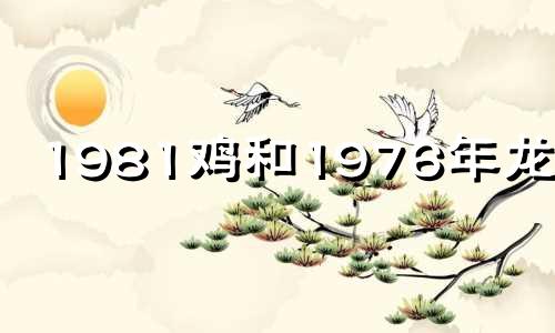 1981鸡和1976年龙婚配 81年属鸡与76年属龙是不是最佳婚配