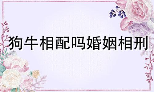 狗牛相配吗婚姻相刑 狗牛相配婚姻幸福吗