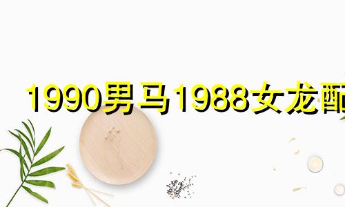 1990男马1988女龙配吗 1990男马1988女龙生什么属相宝宝好