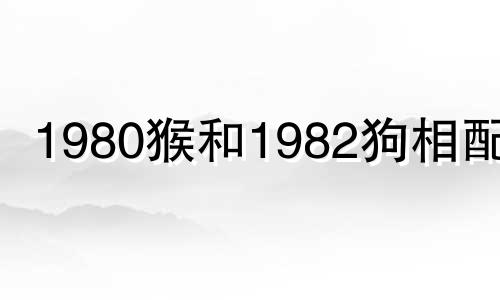 1980猴和1982狗相配吗 80猴与82狗相配婚姻幸福吗