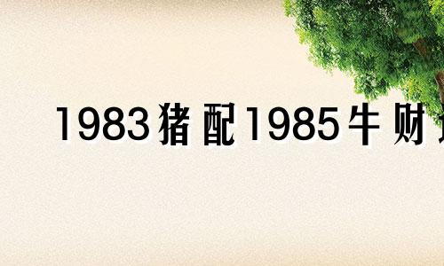 1983猪配1985牛财运 1983属猪和1985属牛