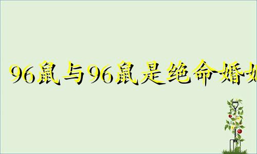 96鼠与96鼠是绝命婚姻 属鼠人一生最克3个人