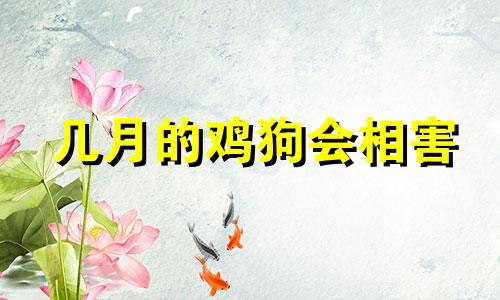 几月的鸡狗会相害 如何化解