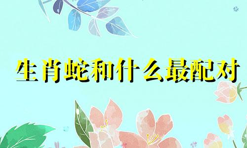 生肖蛇和什么最配对 生肖蛇和什么配婚姻好