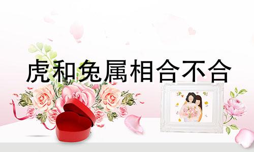 虎和兔属相合不合 虎和牛属相合不合婚姻关系