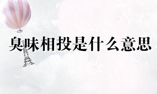 臭味相投是什么意思 臭味相投的反义词