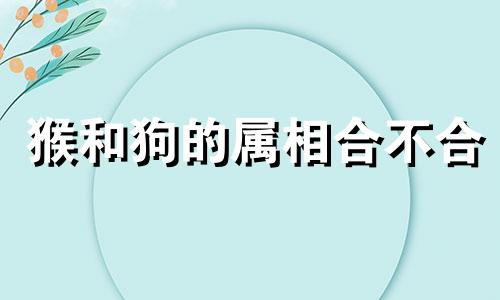 猴和狗的属相合不合 能够在一起吗