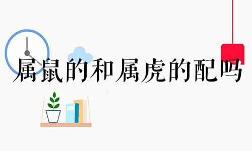 属鼠的和属虎的配吗 1984年属鼠人的婚姻状况