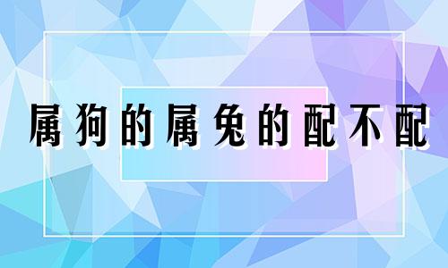 属狗的属兔的配不配 属狗属兔的属相合不合