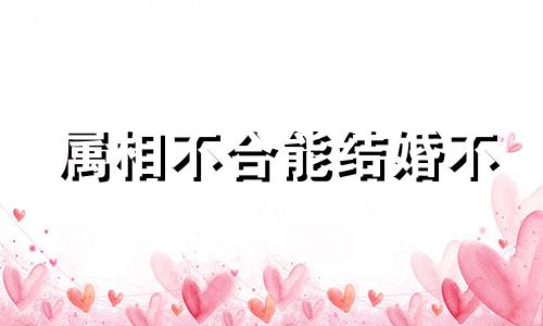 属相不合能结婚不 属相不和能结婚吗