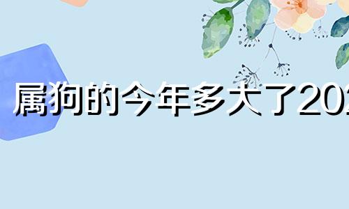 属狗的今年多大了2024 属狗的今年多大岁数2023