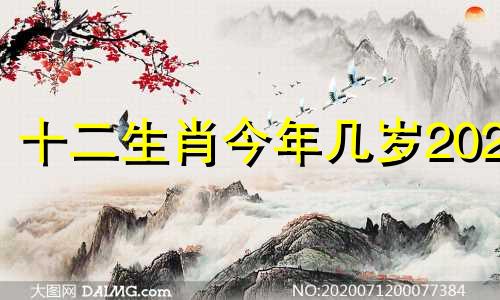 十二生肖今年几岁2023 十二生肖今年几岁对照表