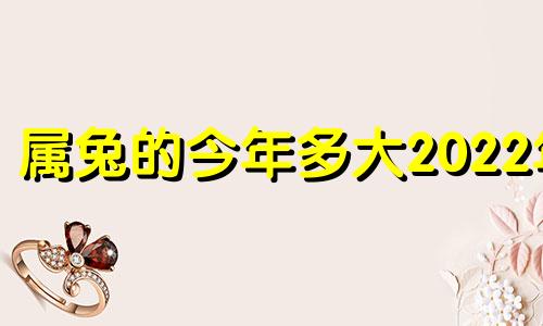 属兔的今年多大2022年 属兔的今年多大2023