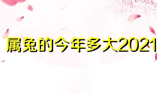 属兔的今年多大2021年 属兔的今年多大2023