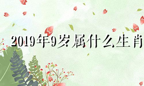 2019年9岁属什么生肖 2018年19岁属什么生肖