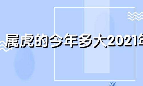 属虎的今年多大2021年 属虎的今年多大2024