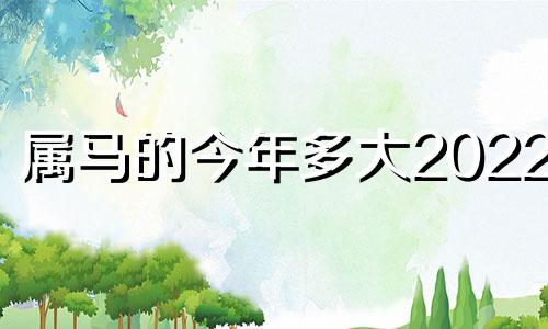 属马的今年多大2022年 属马的今年多大2024年