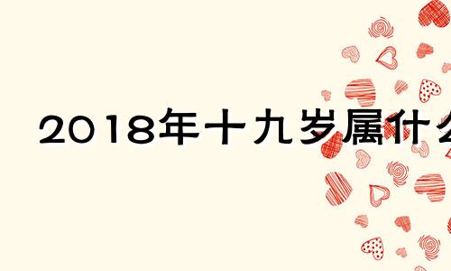 2018年十九岁属什么 12生肖排序年龄2018,19岁属什么