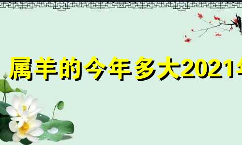 属羊的今年多大2021年 属羊的今年多大2024年