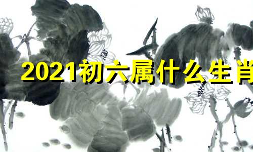 2021初六属什么生肖 今年初六日子好不好