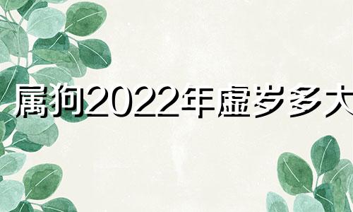 属狗2022年虚岁多大了 属狗虚岁多大2020