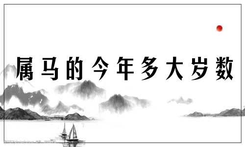 属马的今年多大岁数 属马的今年多大了2023