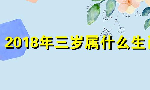 2018年三岁属什么生肖 2018年出生什么属相