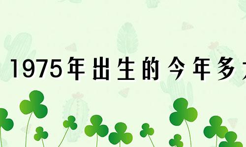 1975年出生的今年多大 生肖兔2022年运程解析