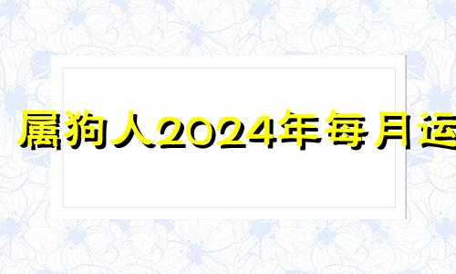 属狗人2024年每月运势 生肖狗在2024年的运势以及注意月份