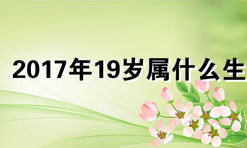 2017年19岁属什么生肖 2017年18岁属什么生肖