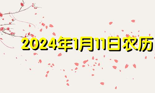 2024年1月11日农历 2024年1月14日