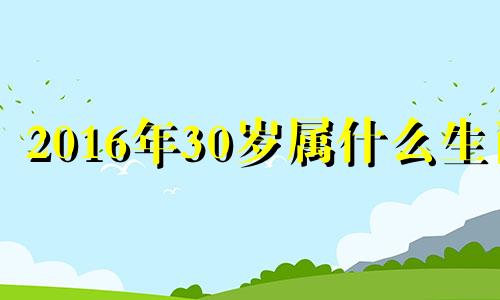 2016年30岁属什么生肖 2016年1月31日是什么生肖